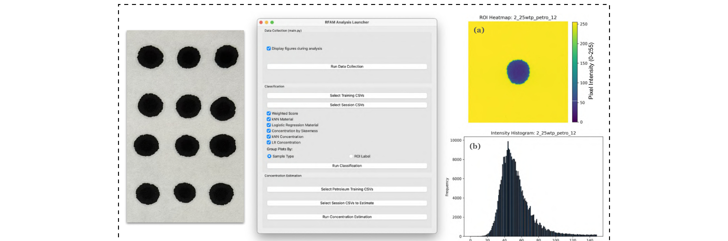 Carbon Concentration Classifier Workflow