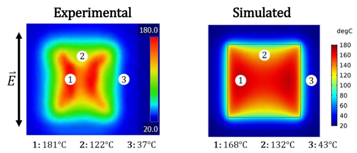 Task 2: Modeling - Experiment vs Simulation